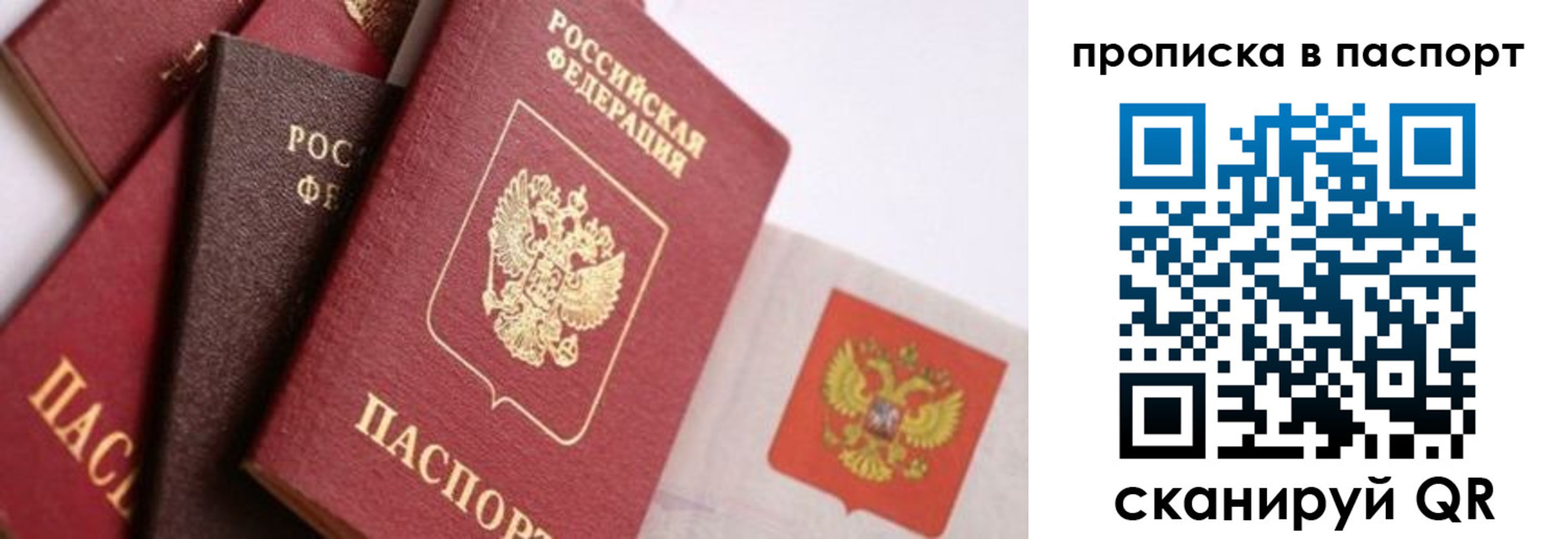 прописка штамп в Домодедово